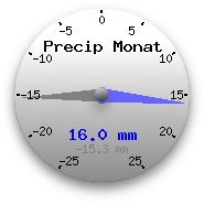 Niederschläge des letzten Monats