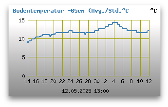 Bodentemperatur -65 cm unter Grund